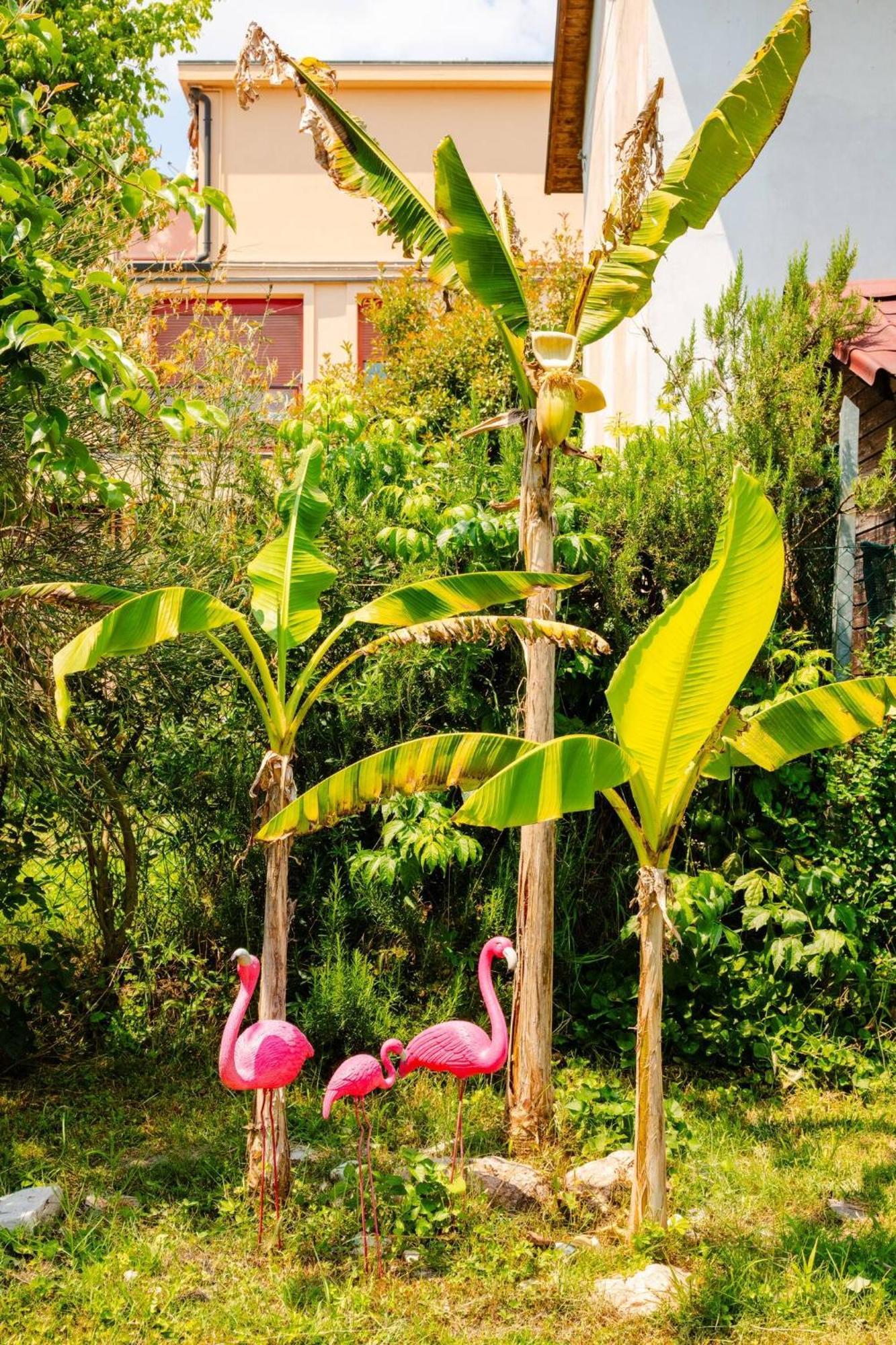 مبيت وإفطار Baricella Garden Loft المظهر الخارجي الصورة